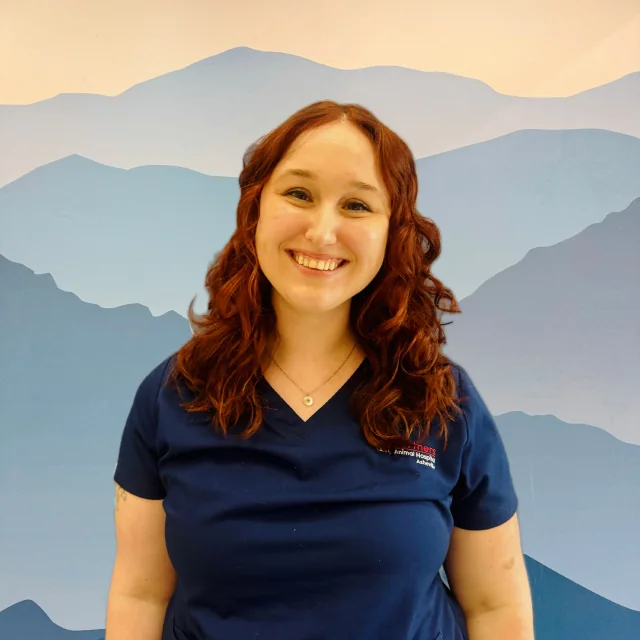 Abby Partners Asheville