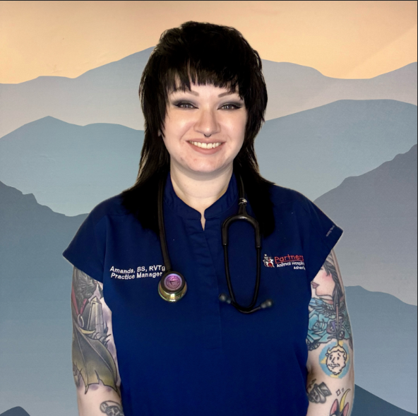 Amanda Ready Headshot