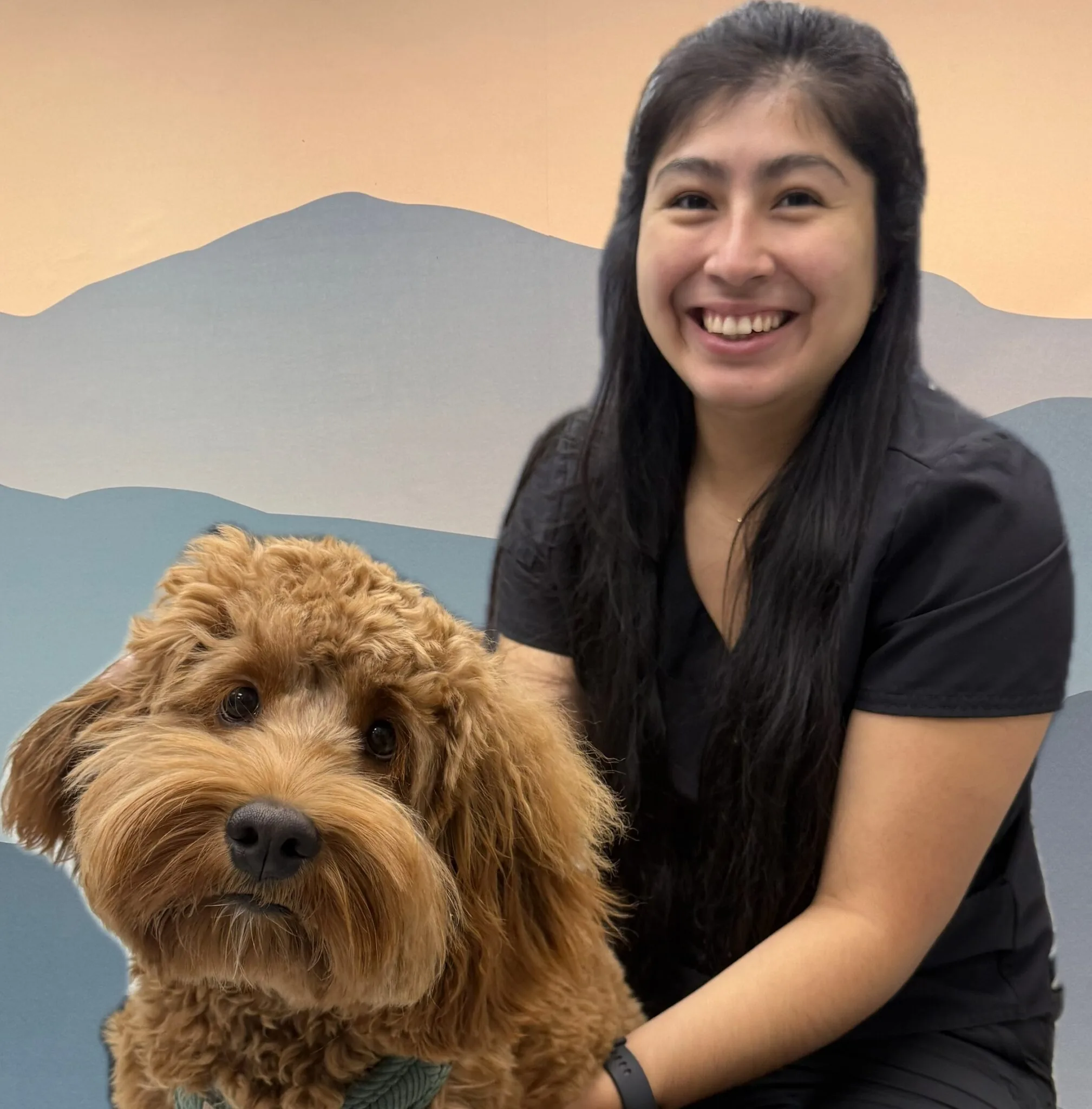 Photo Jan 09 2026, 10 09 51 Am